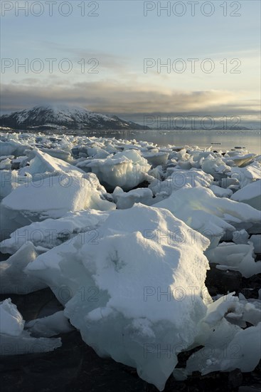 Grounded ice floes