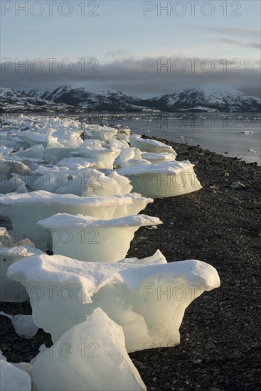 Stranded ice floes