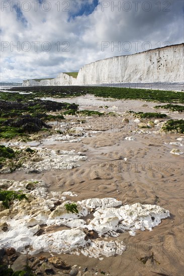 White chalk cliffs