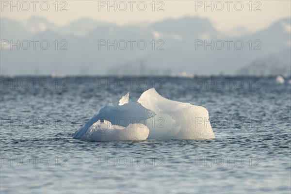 Floating iceberg