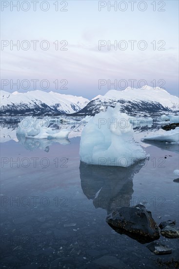 Icebergs at College Fjord