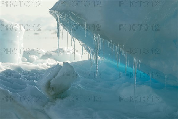 Icebergs at College Fjord