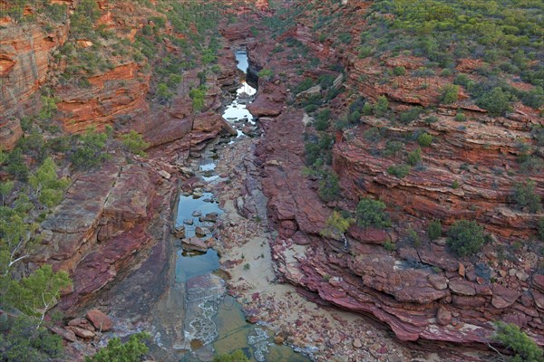 Gorge at the Z Bend