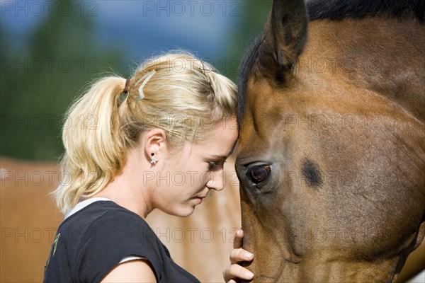 Young woman cuddling an Austrian Warmblood