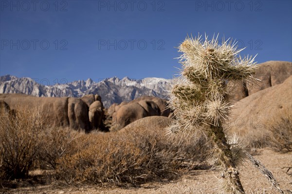 Rock formations of the Alabama Hills