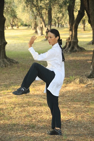 Tai Chi