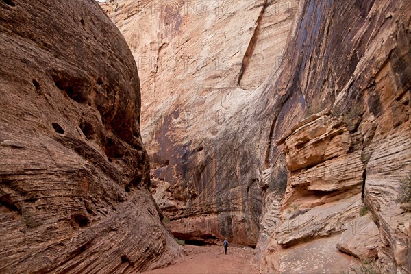 Tourist on the trail through Grand Wash Gorge