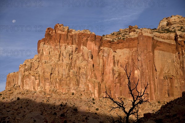 Rock formations in Capitol Reef National Park