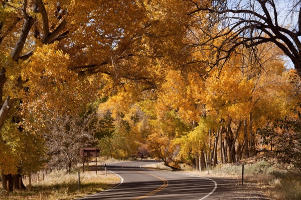 Scenic drive