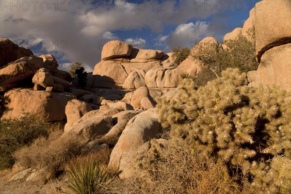 Rock formation
