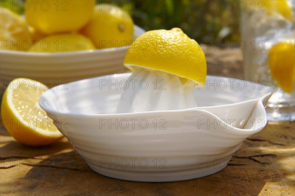 Lemon Squeezer