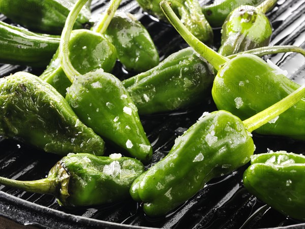 Pimientos de Padron