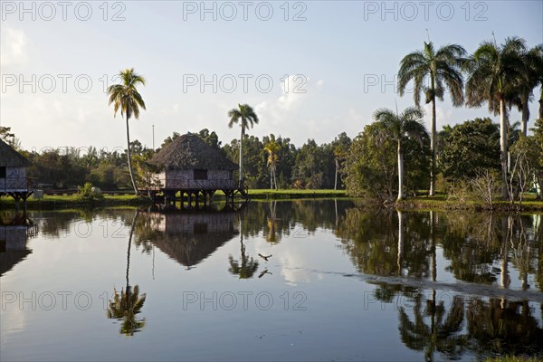 Early morning at Villa Guama