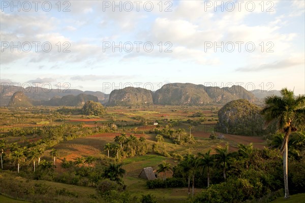 Landscape with Karst mountains and the cultivation of tobacco