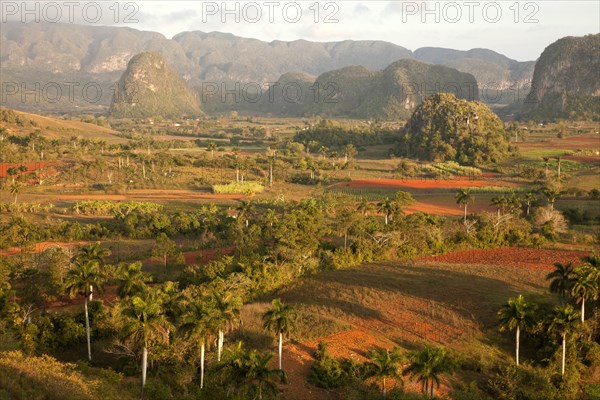 Landscape with Karst mountains and the cultivation of tobacco