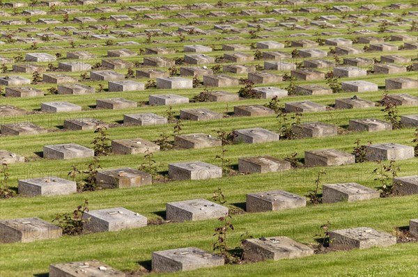 Tombstones of the Jewish Cemetery at the Small Fortress