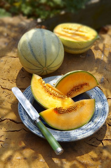 Charentais melons