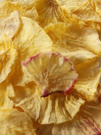 Dried Yacon roots (Smallanthus sonchifolius