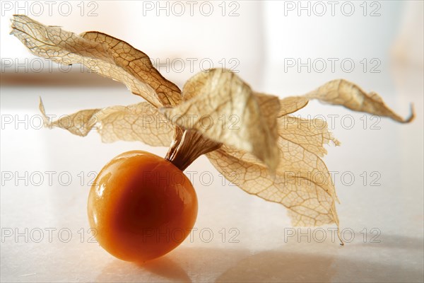 Cape gooseberry (Physalis peruviana)