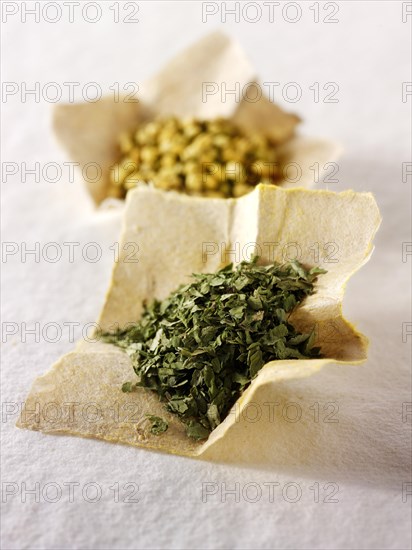 Coriander leaves and coriander seeds