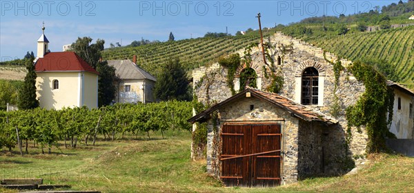 Wine cellar in the Badacsony vineyards