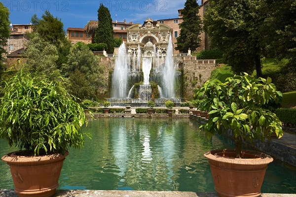 The Organ Fountain