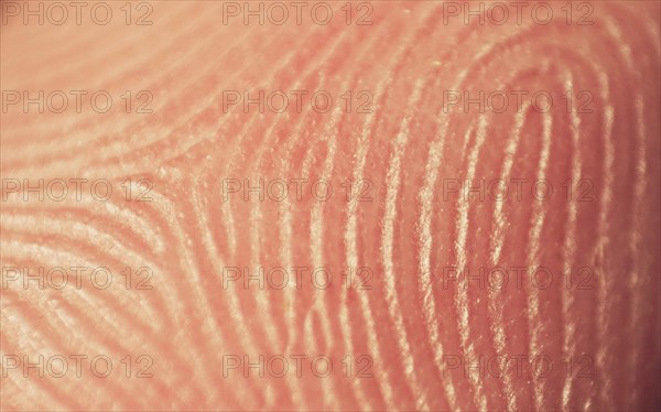 Fingerprint