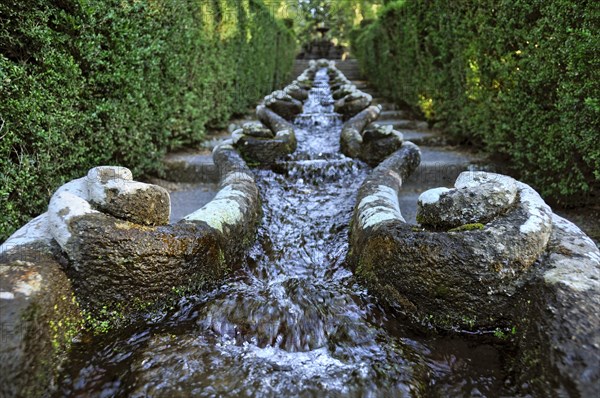 Water chain or canal of shrimps