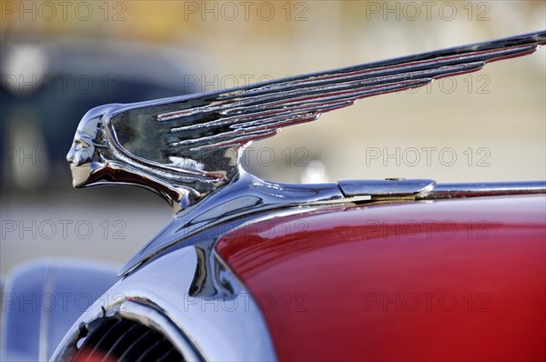 Woman's head hood ornament