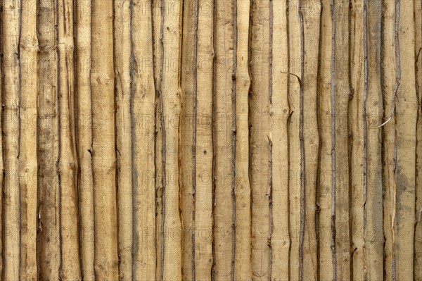 Wooden wall from untreated rough boards