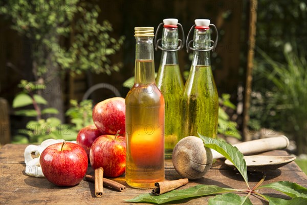 Apples with apple cider vinegar and apple juice on a wooden box in the garden