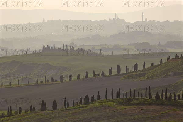 Cypress-lined roads and graded hills