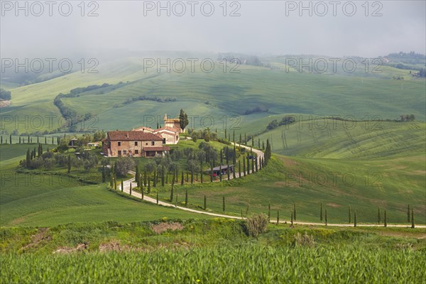 Hilly landscape around Podere Baccoleno
