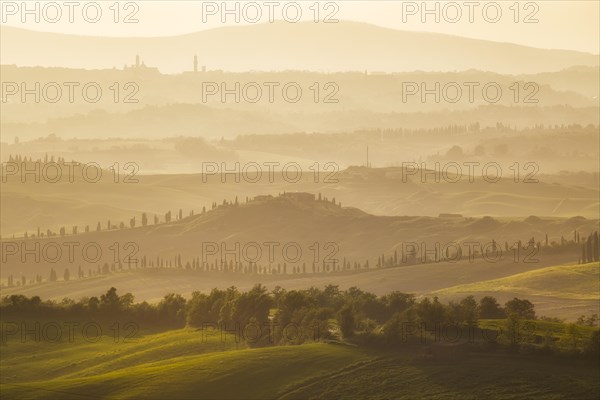 Cypress-lined roads and graded hills