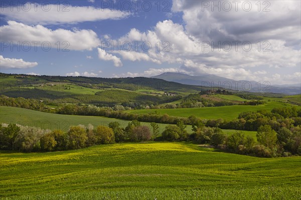 Hilly landscape of the Crete Senesi region