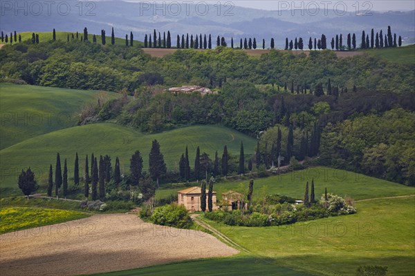 Hilly landscape of the Crete Senesi region