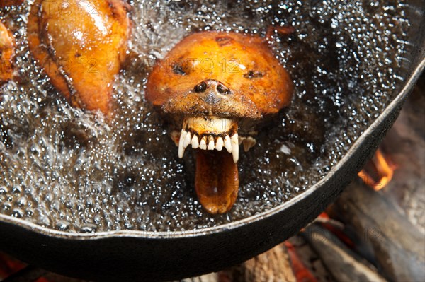 Slaughtered and dissected dogs being fried in hot oil