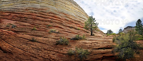 The Checkerboard Mesa