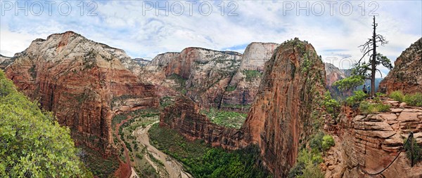Panoramic view of Zion Canyon the Angels Landing rock formation with sheer cliffs on either side