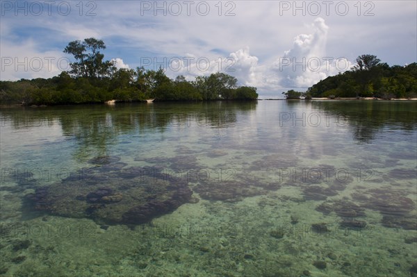 Clear waters of the Marovo Lagoon