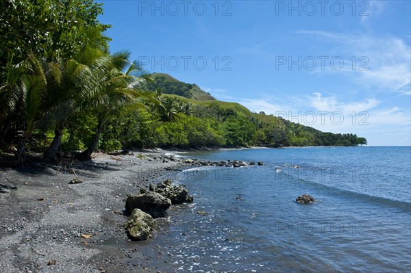 Coastal landscape