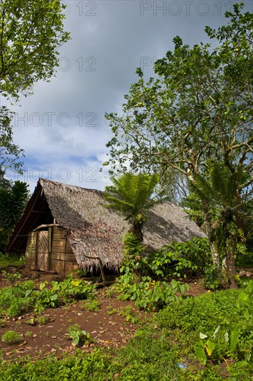 Traditional hut