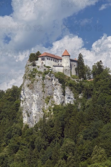 Bled Castle