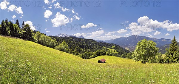 Vernal mountain landscape with green grass