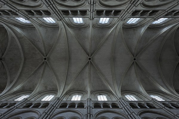 Vaulted ceiling