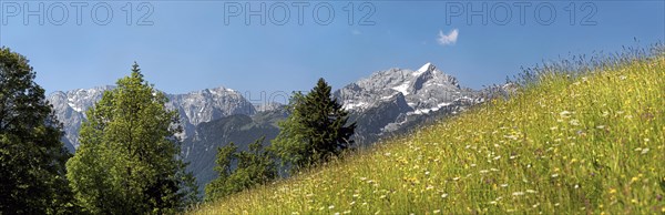 Green meadow on Eckbauer Mountain