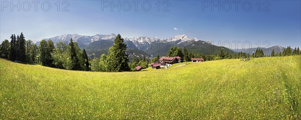 Green meadow on Eckbauer Mountain