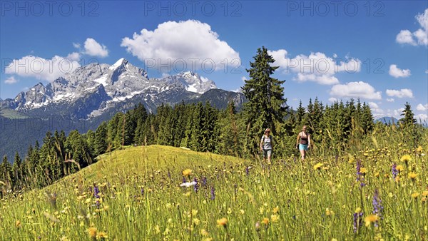 Hikers on a green meadow on Eckbauer Mountain