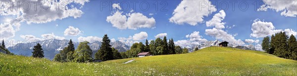 Green meadow on Eckbauer Mountain