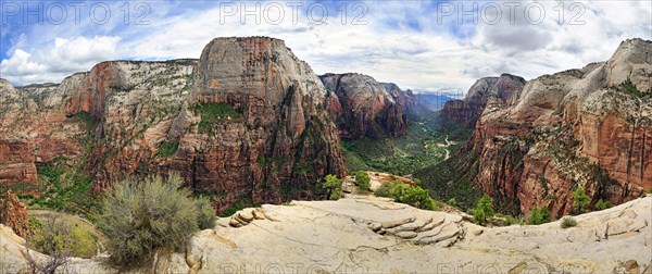 Panoramic views from the lookout at Angels Landing into Zion Canyon